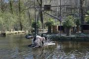 ../galleries/2021.04.02_Ostern_in_Niedernhausen_-_Tag_1_-_Opel-Zoo/DSC_9924.thumbnail.jpg