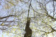 ../galleries/2021.04.04_Ostern_in_Niedernhausen_-_Tag_3_-_Ostersonntag/DSC_0133.thumbnail.jpg