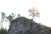 ../galleries/2021.05.08_Wanderung_Felsenmeer_Wental/DSC_0177.thumbnail.jpg