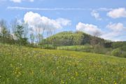 ../galleries/2021.05.13_Wanderung_Weilerstoffel/DSC_0204.thumbnail.jpg