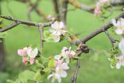 ../galleries/2021.05.13_Wanderung_Weilerstoffel/DSC_0209.thumbnail.jpg