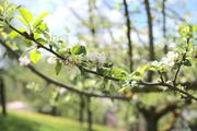 ../galleries/2021.05.13_Wanderung_Weilerstoffel/DSC_0213.thumbnail.jpg