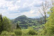 ../galleries/2021.05.13_Wanderung_Weilerstoffel/DSC_0232.thumbnail.jpg