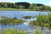 ../galleries/2021.05.22_Tauchenweiler/DSC_0257.thumbnail.jpg