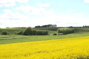 ../galleries/2021.05.22_Tauchenweiler/DSC_0283.thumbnail.jpg