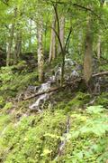 ../galleries/2021.08.02_Urlaub_Frankreich_-_Tag_3_-_Wutachschlucht/DSC_0840.thumbnail.jpg