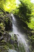../galleries/2021.08.02_Urlaub_Frankreich_-_Tag_3_-_Wutachschlucht/DSC_0873.thumbnail.jpg