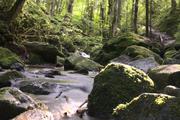 ../galleries/2021.08.02_Urlaub_Frankreich_-_Tag_3_-_Wutachschlucht/DSC_0886.thumbnail.jpg