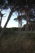 ../galleries/2021.08.06_Urlaub_Frankreich_-_Tag_7_-_Mountainbike_Mimosa/DSC_1024.thumbnail.jpg