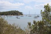 ../galleries/2021.08.07_Urlaub_Frankreich_-_Tag_8_-_Wanderung_am_Strand/DSC_1077.thumbnail.jpg