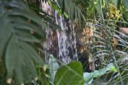 ../galleries/2021.09.05_Zoo_Stuttgart/DSC_1354.thumbnail.jpg