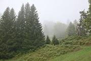 ../galleries/2021.10.04_Urlaub_Allgäu_-_Tag_2_-_Grünten/DSC_1618.thumbnail.jpg