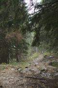 ../galleries/2021.10.04_Urlaub_Allgäu_-_Tag_2_-_Grünten/DSC_1623.thumbnail.jpg