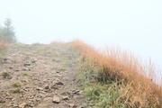 ../galleries/2021.10.04_Urlaub_Allgäu_-_Tag_2_-_Grünten/DSC_1633.thumbnail.jpg