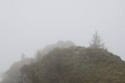 ../galleries/2021.10.04_Urlaub_Allgäu_-_Tag_2_-_Grünten/DSC_1639.thumbnail.jpg