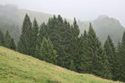 ../galleries/2021.10.04_Urlaub_Allgäu_-_Tag_2_-_Grünten/DSC_1646.thumbnail.jpg