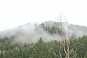 ../galleries/2021.10.04_Urlaub_Allgäu_-_Tag_2_-_Grünten/DSC_1649.thumbnail.jpg