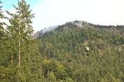 ../galleries/2021.10.07_Urlaub_Allgäu_-_Tag_5_-_Gaisalpe/DSC_1759.thumbnail.jpg