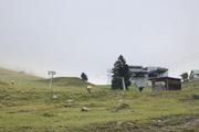 ../galleries/2021.10.08_Urlaub_Allgäu_-_Tag_6_-_Rubihorn/DSC_1780.thumbnail.jpg