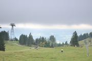 ../galleries/2021.10.08_Urlaub_Allgäu_-_Tag_6_-_Rubihorn/DSC_1785.thumbnail.jpg