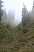 ../galleries/2021.10.08_Urlaub_Allgäu_-_Tag_6_-_Rubihorn/DSC_1790.thumbnail.jpg