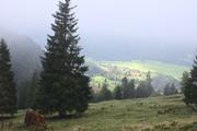 ../galleries/2021.10.08_Urlaub_Allgäu_-_Tag_6_-_Rubihorn/DSC_1791.thumbnail.jpg