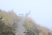 ../galleries/2021.10.08_Urlaub_Allgäu_-_Tag_6_-_Rubihorn/DSC_1792.thumbnail.jpg