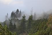 ../galleries/2021.10.08_Urlaub_Allgäu_-_Tag_6_-_Rubihorn/DSC_1800.thumbnail.jpg