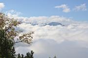../galleries/2021.10.08_Urlaub_Allgäu_-_Tag_6_-_Rubihorn/DSC_1805.thumbnail.jpg