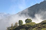 ../galleries/2021.10.09_Urlaub_Allgäu_-_Tag_7_-_Fellhorn/DSC_1922.thumbnail.jpg