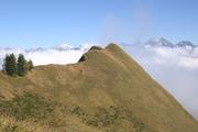 ../galleries/2021.10.09_Urlaub_Allgäu_-_Tag_7_-_Fellhorn/DSC_1939.thumbnail.jpg