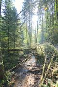 ../galleries/2021.10.17_Wandern_Feenwanderweg/DSC_2062.thumbnail.jpg