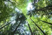 ../galleries/2021.10.17_Wandern_Feenwanderweg/DSC_2067.thumbnail.jpg