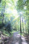 ../galleries/2021.10.17_Wandern_Feenwanderweg/DSC_2068.thumbnail.jpg