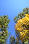 ../galleries/2021.10.24_Wandern_in_Lorch/DSC_2077.thumbnail.jpg