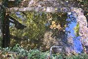 ../galleries/2021.10.24_Wandern_in_Lorch/DSC_2078.thumbnail.jpg