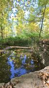 ../galleries/2021.10.24_Wandern_in_Lorch/DSC_2079.thumbnail.jpg
