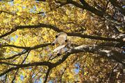 ../galleries/2021.10.24_Wandern_in_Lorch/DSC_2087.thumbnail.jpg