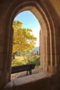 ../galleries/2021.10.24_Wandern_in_Lorch/DSC_2093.thumbnail.jpg
