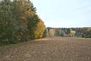 ../galleries/2021.10.30_Niedernhausen/DSC_2101.thumbnail.jpg