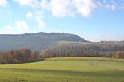 ../galleries/2021.11.07_Wandern_Weiler_idB/DSC_2115.thumbnail.jpg