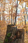 ../galleries/2021.11.07_Wandern_Weiler_idB/DSC_2116.thumbnail.jpg