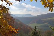 ../galleries/2021.11.07_Wandern_Weiler_idB/DSC_2117.thumbnail.jpg