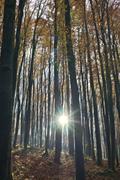 ../galleries/2021.11.07_Wandern_Weiler_idB/DSC_2122.thumbnail.jpg