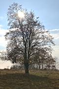 ../galleries/2021.11.07_Wandern_Weiler_idB/DSC_2142.thumbnail.jpg
