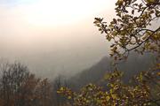 ../galleries/2021.11.07_Wandern_Weiler_idB/DSC_2143.thumbnail.jpg