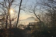 ../galleries/2021.11.07_Wandern_Weiler_idB/DSC_2156.thumbnail.jpg