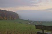 ../galleries/2021.11.07_Wandern_Weiler_idB/DSC_2168.thumbnail.jpg