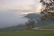 ../galleries/2021.11.07_Wandern_Weiler_idB/DSC_2170.thumbnail.jpg