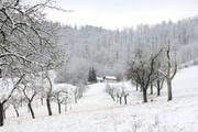../galleries/2021.12.11_Spaziergang_Aalbäumle_im_Schnee/DSC_2296.thumbnail.jpg